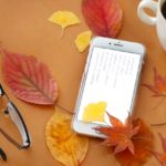 結婚相談所サンマリエが婚活に強い秘密を解説